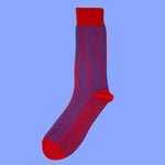 Bassin and Brown Royal Blue and Red Vertical Stripe Cotton Socks