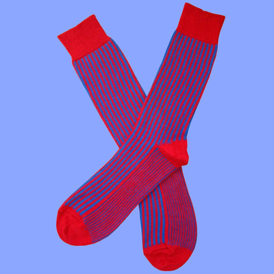 Bassin and Brown Royal Blue and Red Vertical Stripe Cotton Socks