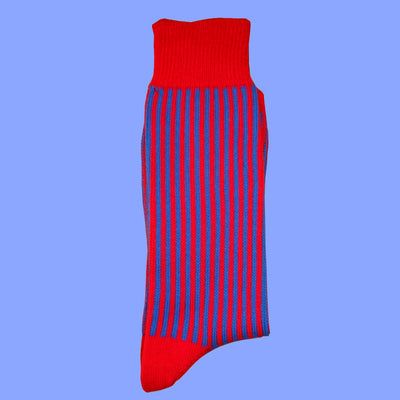 Bassin and Brown Royal Blue and Red Vertical Stripe Cotton Socks