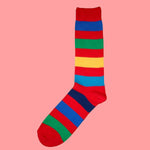 Bassin and Brown Red Multi Stripe Cotton Socks