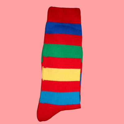 Bassin and Brown Red Multi Stripe Cotton Socks