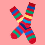 Bassin and Brown Red Multi Stripe Cotton Socks