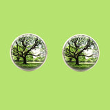 Bassin and Brown Tree Cufflinks - Green/Brown