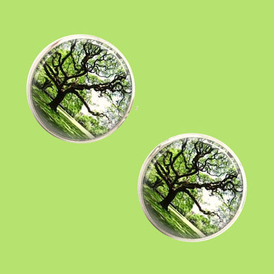 Bassin and Brown Tree Cufflinks - Green and Brown