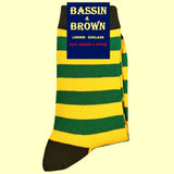 Bassin And Brown Hooped Stripe Socks - Green, Yellow and Khaki