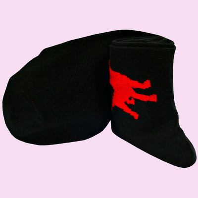 Bassin And Brown Bamboo Labrador Dog Socks - Black and Red
