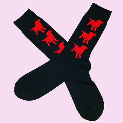 Bassin And Brown Bamboo Labrador Dog Socks - Black and Red