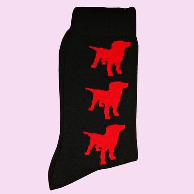 Bassin And Brown Bamboo Labrador Dog Socks - Black and Red