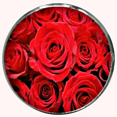 Bassin and Brown Red Roses Keyring
