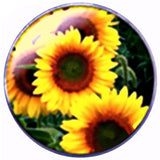 Bassin and Brown Sunflower Keyring - Yellow, Green and Brown