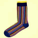 Bassin And Brown Vertical Stripe Multi Colour Socks - Navy, Blue, Yellow, Red, Pink and Electric Blue
