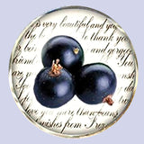 Bassin and Brown Blackcurrant Fruit Cufflinks - Purple and White