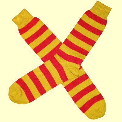 Bassin and Brown Yellow and Red Hooped Stripe Cotton Socks