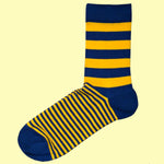 Bassin and Brown Graded Multi Stripe Socks- Yellow and Navy
