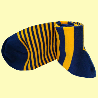 Bassin and Brown Graded Multi Stripe Socks- Yellow and Navy