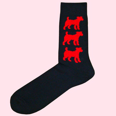 Bassin and Brown Jack Russell Bamboo Socks - Navy and Red