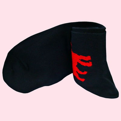 Bassin and Brown Jack Russell Bamboo Socks - Navy and Red