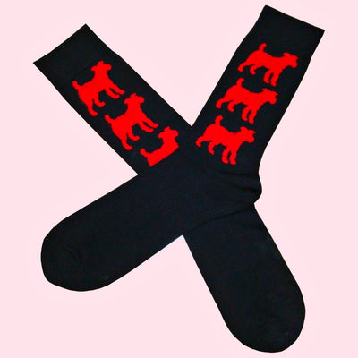 Bassin and Brown Jack Russell Bamboo Socks - Navy and Red