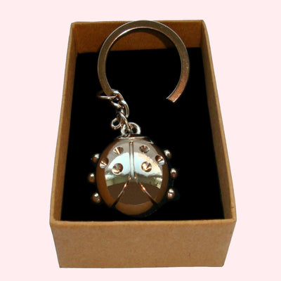 Bassin and Brown Ladybird Keyring - Silver