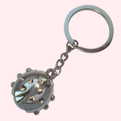 Bassin and Brown Ladybird Keyring - Silver