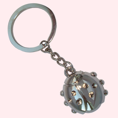 Bassin and Brown Ladybird Keyring - Silver