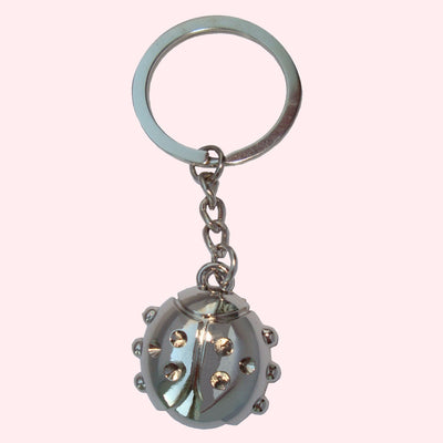 Bassin and Brown Ladybird Keyring - Silver