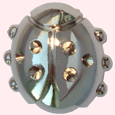 Bassin and Brown Ladybird Keyring - Silver