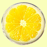 Bassin and Brown Lemon Fruit Cufflinks - Yellow