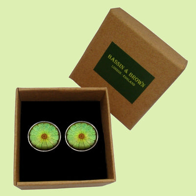 Bassin and Brown Lime Fruit Cufflinks - Green