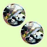 Bassin and Brown Panda Bears Cufflnks -  Black/White
