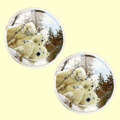 Bassin and Brown Polar Bear Cufflnks - White