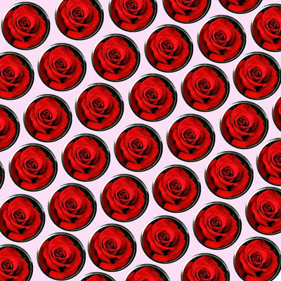 Bassin and Brown Rose Flower Cufflinks - Red