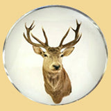 Bassin and Brown Stags Head Cufflinks - Brown and White