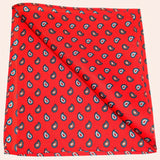 Bassin and Brown Teardrop Paisley Silk Pocket Square - Red