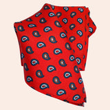 Bassin and Brown Teardrop Paisley Silk Pocket Square - Red