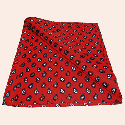 Bassin and Brown Teardrop Paisley Silk Pocket Square - Red