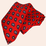 Bassin and Brown Teardrop Paisley Silk Pocket Square - Red