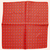 Bassin and Brown Teardrop Paisley Silk Pocket Square - Red