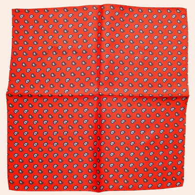 Bassin and Brown Teardrop Paisley Silk Pocket Square - Red