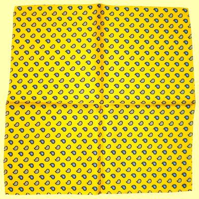 Bassin and Brown Yellow Teardrop Paisley Silk Pocket Square