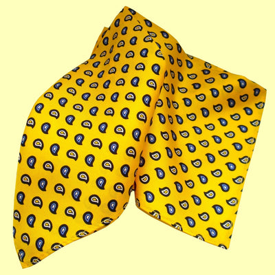 Bassin and Brown Yellow Teardrop Paisley Silk Pocket Square
