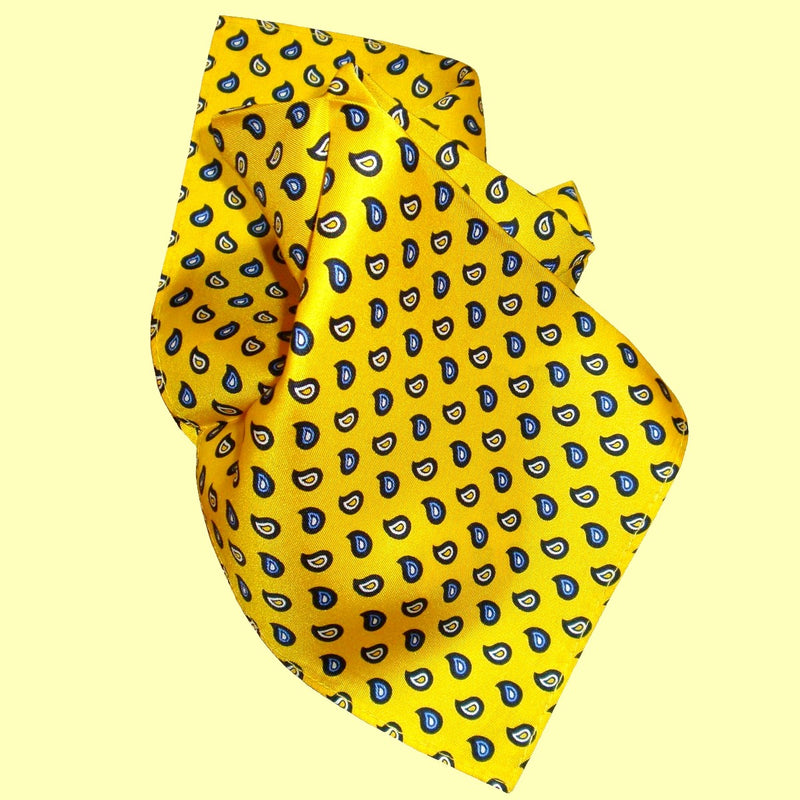 Bassin and Brown Yellow Teardrop Paisley Silk Pocket Square