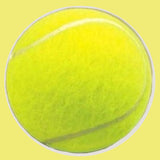 Bassin and Brown Tennis Ball Keyring - Yellow