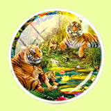 Bassin and Brown Tiger Family Cufflinks - Orange.Green
